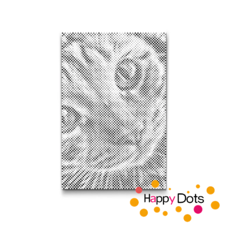 HappyDots DOT Painting Katten 06