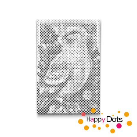 HappyDots DOT Painting Vogels 09 - 40x60cm