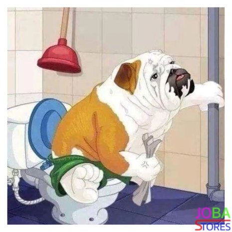 OP=OP Diamond Painting Toilet Hond 30x30cm