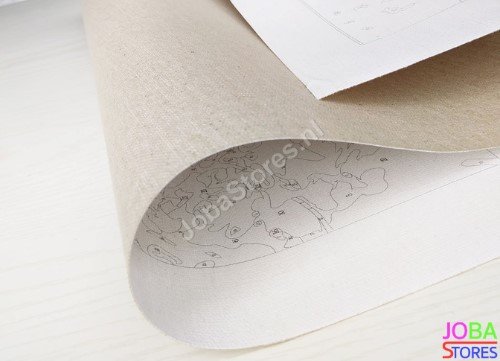 OP=OP Schilderen op nummer Panda 40x50cm
