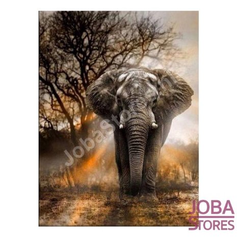 OP=OP Diamond Painting Olifant in schemer 30x40cm