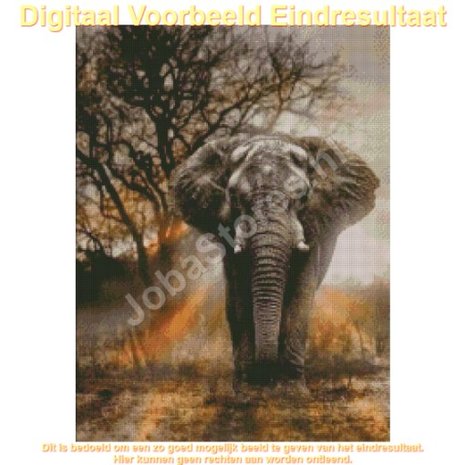 Diamond Painting Olifant in schemer 45x60cm