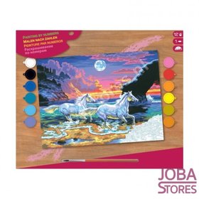 OP=OP Schilderen op nummer - Sequin Art - Senior - Paarden