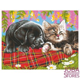 OP=OP Schilderen op nummer - Sequin Art - Senior - Hond & Kat