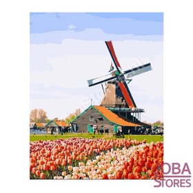 OP=OP Schilderen op nummer Molen 40x50cm
