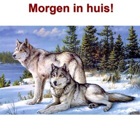 OP=OP Diamond Painting Wolven Stel 40x30cm