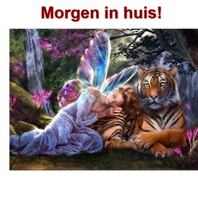 OP=OP Diamond Painting Elfje met Tijger 30x40cm