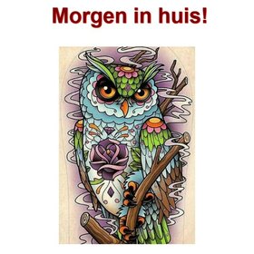 OP=OP Diamond Painting Uil 40x55cm - Rond