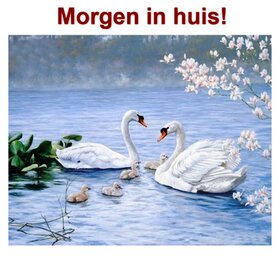 OP=OP Diamond Painting Zwanen 50x40cm