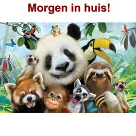 OP=OP Diamond Painting Gekke Jungle Dieren 40x30cm