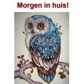 OP=OP Diamond Painting Blauwe Uil 40x50cm - Rond