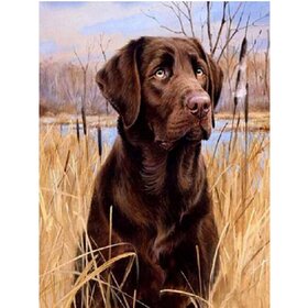 Diamond Painting Hond - Labrador 01 (formaat en vorm steentjes naar keuze)