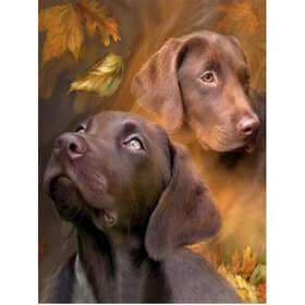 Diamond Painting Hond - Labrador 03 (formaat en vorm steentjes naar keuze)