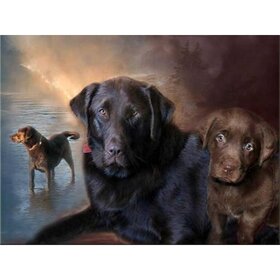 Diamond Painting Hond - Labrador 05 (formaat en vorm steentjes naar keuze)