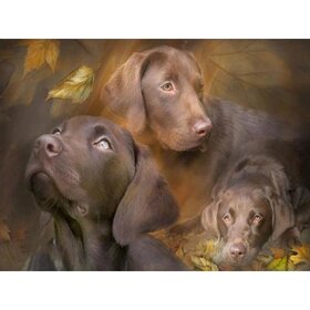 Diamond Painting Hond - Labrador 06 (formaat en vorm steentjes naar keuze)
