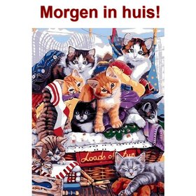 OP=OP Diamond Painting Kittens 40x50cm