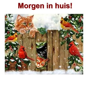 OP=OP Diamond Painting Kerst Katten 30x40cm