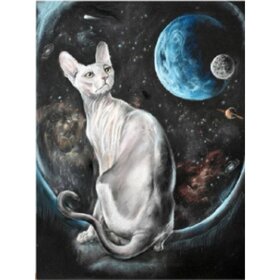 Diamond Painting Witte Naakt Kat (formaat en vorm steentjes naar keuze)