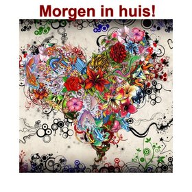 OP=OP Diamond Painting Bloemen Hart 30x30cm