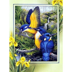 Diamond Painting Schilderachtige vogels 02 (formaat en vorm steentjes naar keuze)