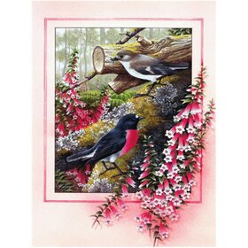 Diamond Painting Schilderachtige vogels 05 (formaat en vorm steentjes naar keuze)