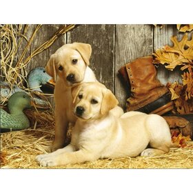 Diamond Painting Hondjes - Labrador puppies (formaat en vorm steentjes naar keuze)