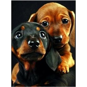 Diamond Painting Hond - Teckel 02 (formaat en vorm steentjes naar keuze)