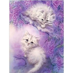 Diamond Painting Twee witte kittens (formaat en vorm steentjes naar keuze)