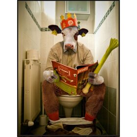 Diamond Painting Toilet Koe (formaat en vorm steentjes naar keuze)