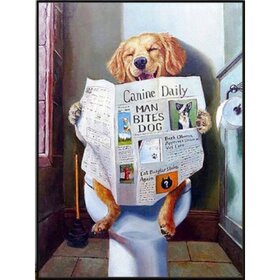 Diamond Painting Toilet Hond Golden Retriever (formaat en vorm steentjes naar keuze)