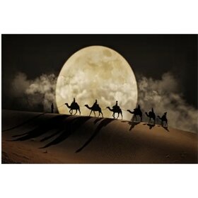 Diamond Painting Kamelen in de woestijn (formaat en vorm steentjes naar keuze)