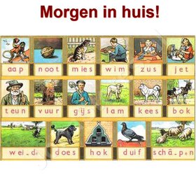 OP=OP Diamond Painting Aap Noot Mies 80x60cm