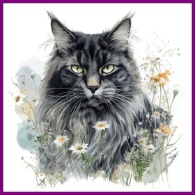 Diamond Painting Kat Maine Coon 01 (formaat en vorm steentjes naar keuze)