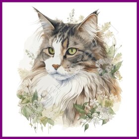 Diamond Painting Kat Maine Coon 03 (formaat en vorm steentjes naar keuze)