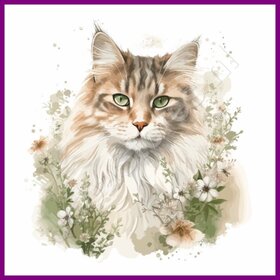Diamond Painting Kat Maine Coon 04 (formaat en vorm steentjes naar keuze)