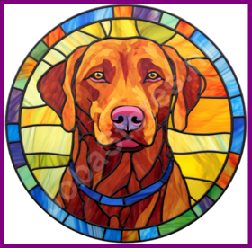 Diamond Painting Glas in lood Hond - Chesapeake Bay Retriever 04 (formaat en vorm steentjes naar keuze)