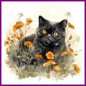 Diamond Painting Kat Exotic 01 (formaat en vorm steentjes naar keuze)