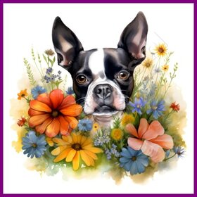 Diamond Painting Boston Terrier met bloemen (formaat en vorm steentjes naar keuze)