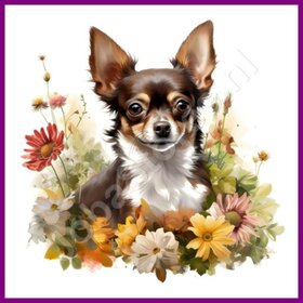 Diamond Painting Chihuahua met bloemen 02 (formaat en vorm steentjes naar keuze)