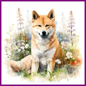 Diamond Painting Akita met bloemen 01 (formaat en vorm steentjes naar keuze)