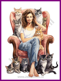 Diamond Painting Crazy Cat Lady 05 (formaat en vorm steentjes naar keuze)