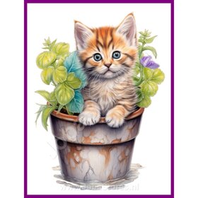 Diamond Painting Kitten in plantenpot 04 (formaat en vorm steentjes naar keuze)