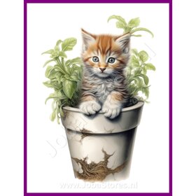 Diamond Painting Kitten in plantenpot 06 (formaat en vorm steentjes naar keuze)