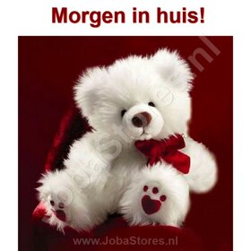 OP=OP Diamond Painting Wit Beertje 30x30cm