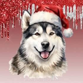 Diamond Painting Alaska Malamute met Kerstmuts (formaat en vorm steentjes naar keuze)
