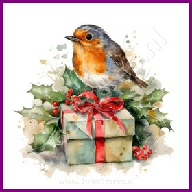 Diamond Painting Roodborstje Kerst 02 (formaat en vorm steentjes naar keuze)