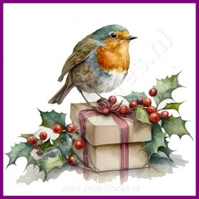 Diamond Painting Roodborstje Kerst 04 (formaat en vorm steentjes naar keuze)