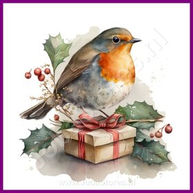 Diamond Painting Roodborstje Kerst 06 (formaat en vorm steentjes naar keuze)