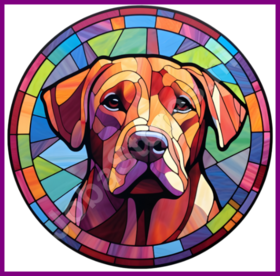 Diamond Painting Glas in lood Hond - Labrador Retriever 03 (formaat en vorm steentjes naar keuze)