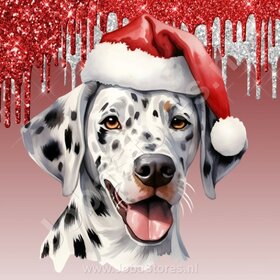Diamond Painting Dalmatier  met Kerstmuts (formaat en vorm steentjes naar keuze)